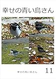 幸せの青い鳥さん　11
