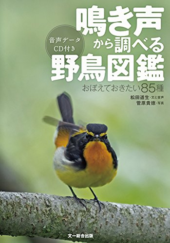 オライリー 無料電子書籍 鳴き声から調べる野鳥図鑑—おぼえておきたい85種 (音声データCD付き) バイ