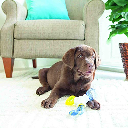 JW Puppy Connects - Image 4