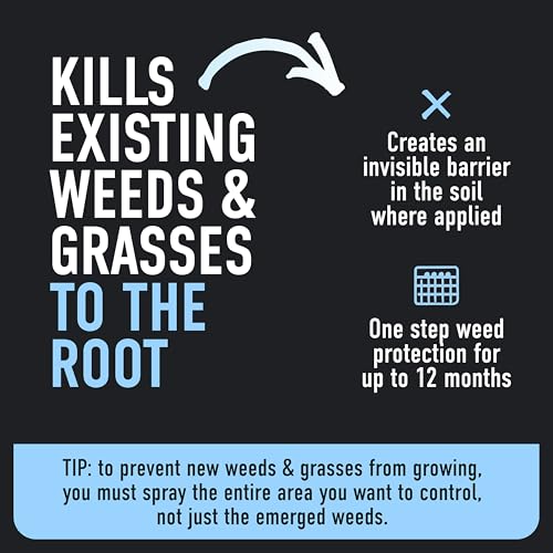 Roundup Dual Action 365 Weed & Grass Killer Plus 12 Month Preventer Refill - image 6