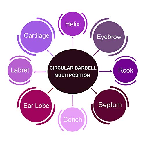 Bodyjewellery 2Pcs 16G Barbell Horseshoe Earrings Lip Black Titanium G23 Cartilage Septum Ear Tragus Ring Eyebrow Snake Bite B2Icx #TOP6