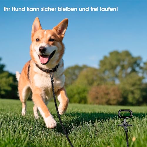 Bodenanker Hund ø12mm, Erdanker Hund für Große & Mittlere bis zu 100 kg, Vollständig Geschweißt Extra Stabiler Spiralanker für Hunde, Bodenanker zum Eindrehen für Strand, Camping, Rasen und Hof