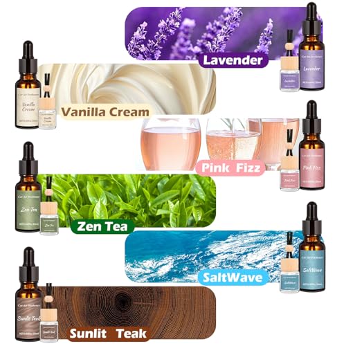 Image of 12Pack Car Air Freshener Refills, Hanging Air Freshener Diffuser