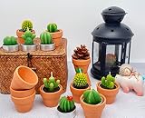 36pcs Succulent Candles Bulk Baby Shower Prizes Fiesta Tea Party Decor Novelty Terrarium Plant Tea L