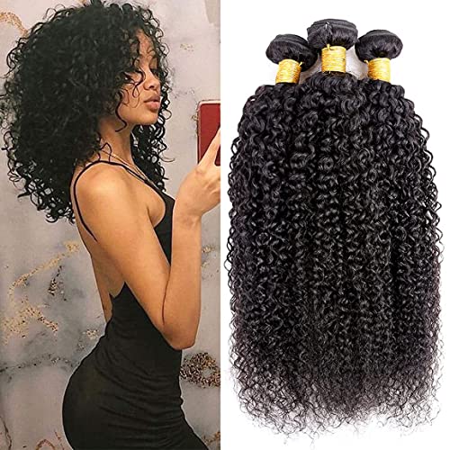 20 22 24 Inch Bundles Kinky Curly Hair Human Hair 3 Bundles For Women Double Weft No Tangle Hair Bundles Hair Extensions 3 Bundle Kinky Curly Hair 3 Bundle