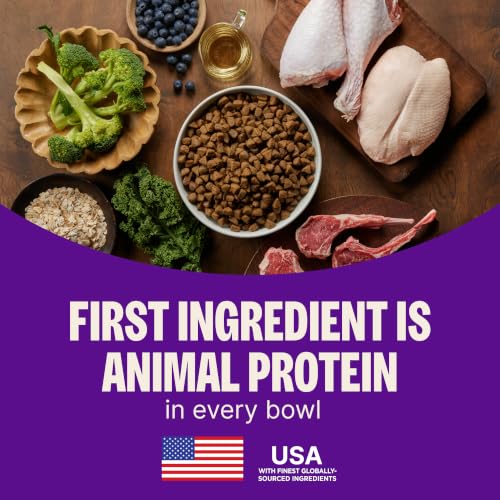 Wellness CORE Puppy Dry Dog Food, Grain Free Kibble, Natural, High Protein, Chicken and Turkey Recipe, 4 lb Bag - image 3