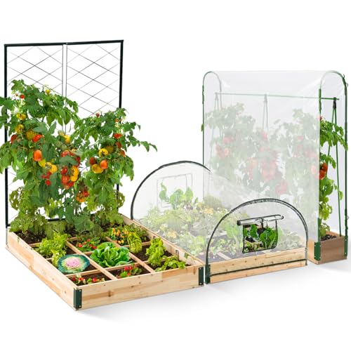 IDMarket - Kit Completo di 3 vasche modulari per orto e Serra di pomodori + Traliccio + Copertura