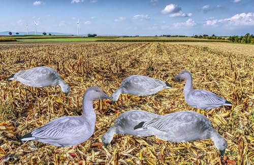 SnowDown Decoys Juvie Goose Silhouette Decoys. Juvinile Snow Goose Decoys. 12 Pack with Metal Stakes.
