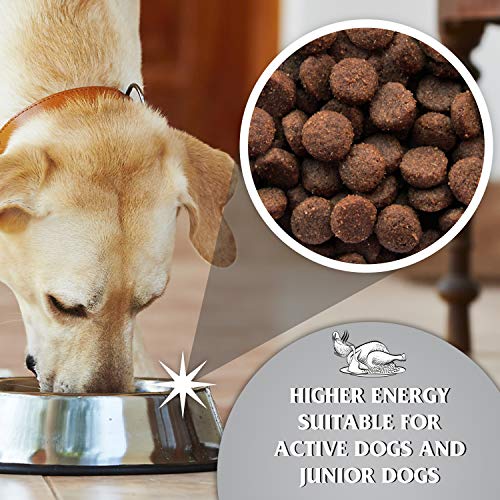 Dr. John Titanium Complete Dry Dog Food 15kg - Chicken, Vegetables and New Zealand Green-Lipped Mussel - Complete Nutrition for Active Adult and Junior Dogs - Image 3