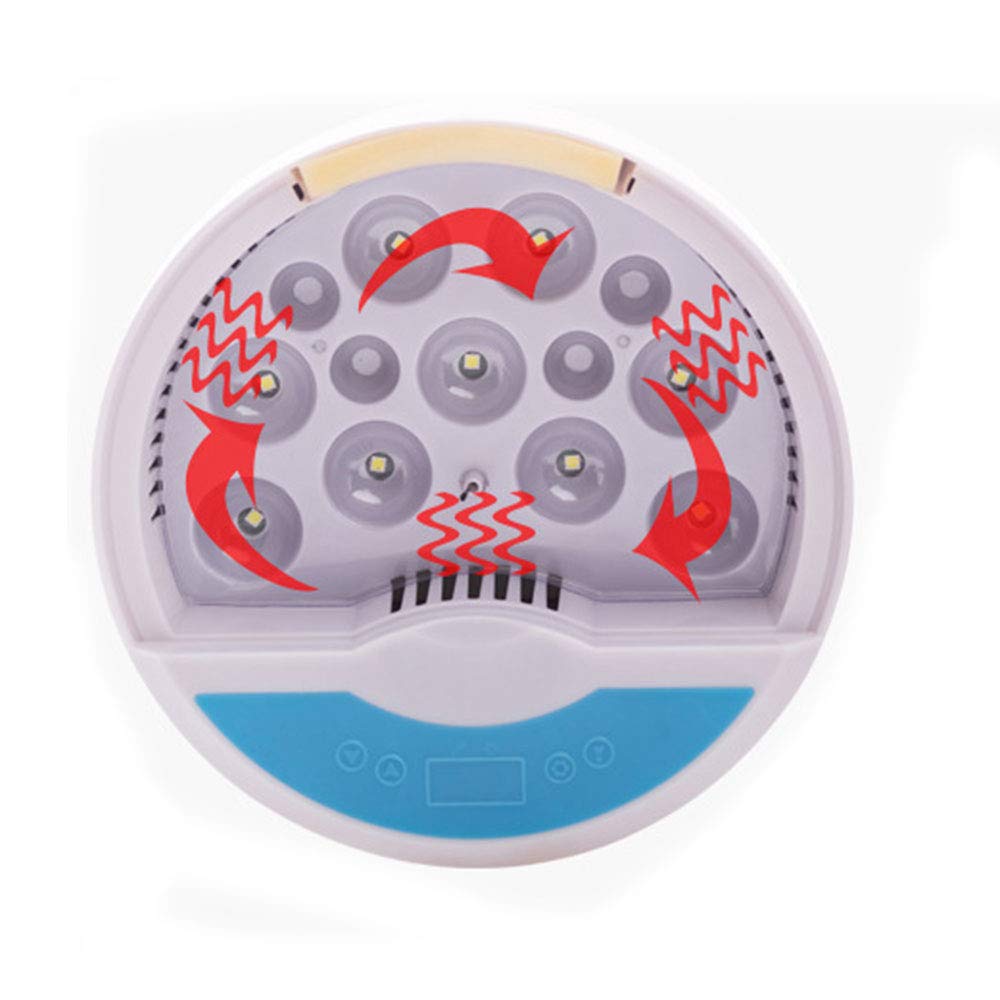 TopHomer Incubatrice automatica digitale 9 uova Mini casa con luce LED e regolazione della temperatura per pollame o regalo per bambini