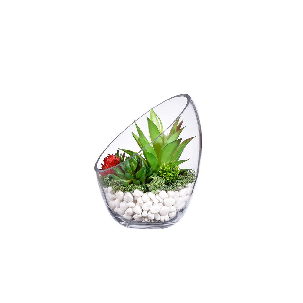Jarrón de Cristal Transparente Tarro de Cristal para terrario, Bol de Burbujas de Corte Inclinado, pecera y terrario de Plantas, Centro de Mesa de florero de Corte Inclinado, florero Redondo