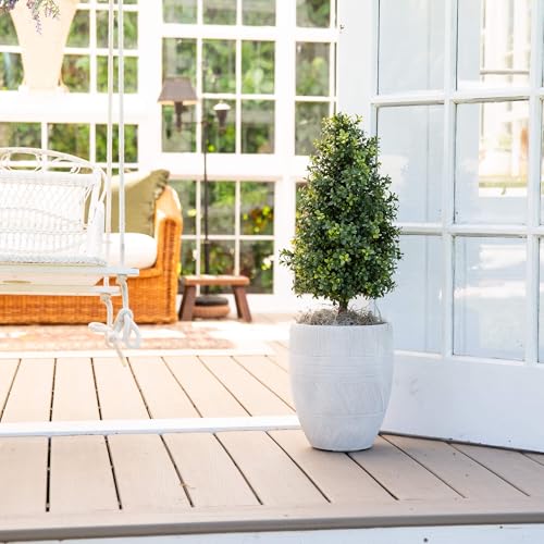 Nearly Natural 2.5ft. UV Resistant Artificial Boxwood Plant with Integrated Ground Stake (Indoor/Outdoor) - Set of 2 by Nearly Natural - Image 5