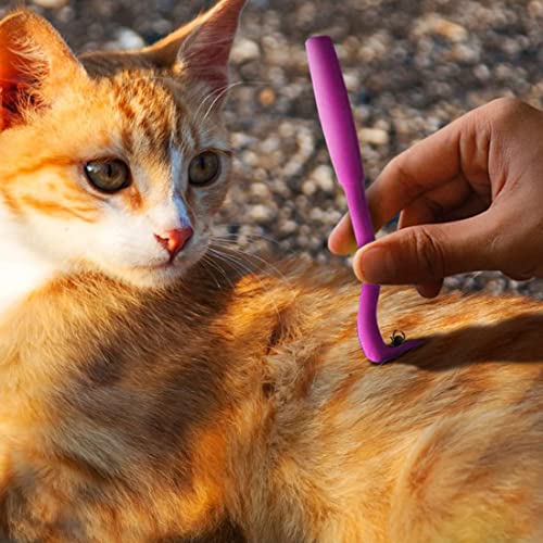 Quesuc Zeckenhaken | ohne Zerquetschungsgefahr | 3 Größen für alle Zecken | Anti Zeckenhebel Schutz Hund Katze Pferd Alternative Zecken Mittel Karte Pinzette Halsband Tablette Zange Entferner