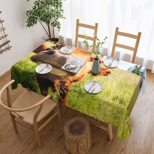 YOFIEN Mantel Rectangular de Abedul con Estampado de 137&182cm Pulgadas, Resistente al Agua y al Polvo.