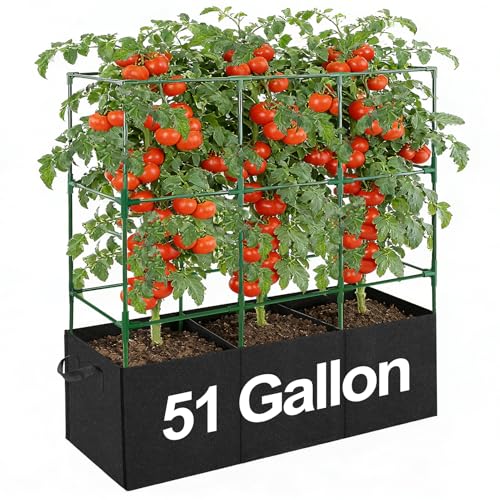 Tomato Cage with 3 Compartment 51 Gallon Grow Bag -