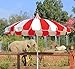 California Umbrella 8.5' Rd. Pagoda Style Patio Umbrella, White Pole, Red/Natural