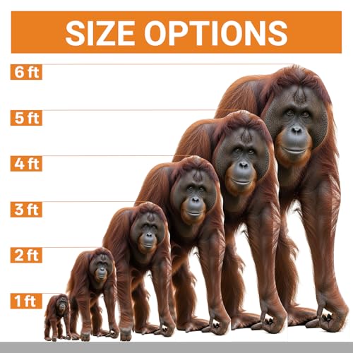 Image of Orangutan 1FT Life Size Cardboard Cutout, Fun Animal Standup | for Events, Party Decor, Birthday & Photo Backdrops, Jungle Theme, 1 PC