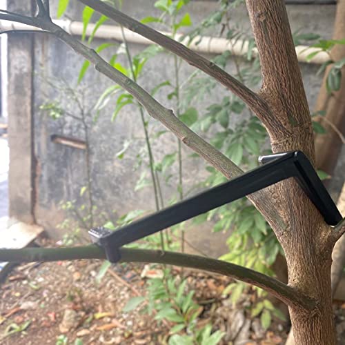 Cunguv 50Pieces Fruit Tree Branch Limb Spreader for Strong Spreading Crotch Angles Branches Plastic Bonsai Branch Trunk Spreaders Modelling Tool Black