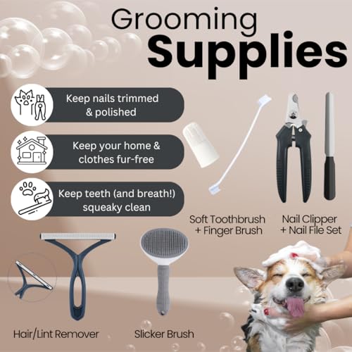 PupLuxe Welpen-Starter-Set, schwarz, 22-teilig, ideal für Hundetrainingsset, tolles Willkommensgeschenk, neues Welpen-Set, ideal für Erstbesitzer und erfahrene Besitzer, neues Hundebündel