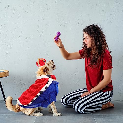 Capa para Perro y Mascotas - Set Disfraz miniatura 6