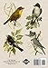 The Complete Book of Birds: Illustrated Enlarged Special Edition