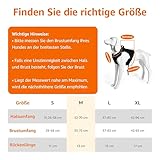 Amazon Basics Anti-Zieh-Hundegeschirr, verstellbar, weich gepolstert, mit reflektierenden Streifen, Schwarz, Größe Mittel