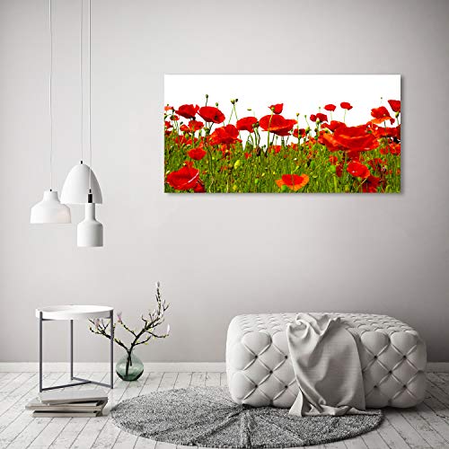 Tableau plexiglas Amapolas 120x60cm pour décoration murale moderne