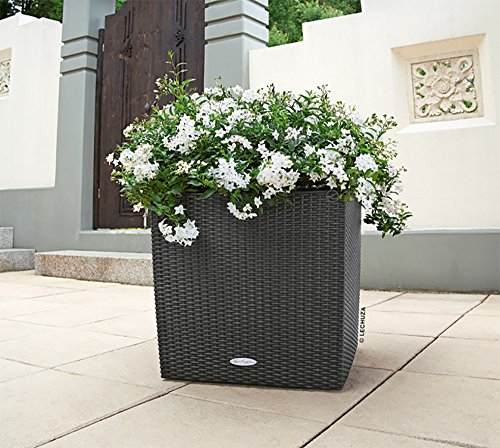 Lechuza 15392 Cube Cottage 50 Self-Watering Planter For Indoor And Outdoor Use, 20" X 20" X 20", Granite, Wicker Finish #TOP2