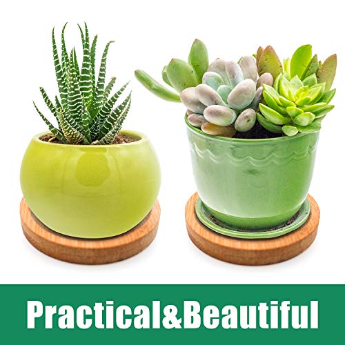 6Pcs Bamboo Round Plant Saucer, With 50 Pcs Plant Labels, 2.5 , 4.7 Inch Durable Plant Drip Tray Saucers Flower Pot Set Round Pallets For Indoor Outdoor Garden (2.5 Inch 2Pcs, 4.7 Inch 4Pcs) #TOP2