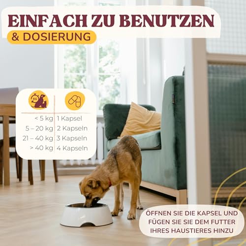 lamina care - Gelenk-Kapseln für Hunde – Mit Grünlippmuschel, Glucosamin & MSM – Natürliche Unterstützung für Gelenke, Hüften & Beweglichkeit - 180 Kapseln