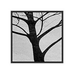 signwin Framed Canvas Wall Art Black and White...