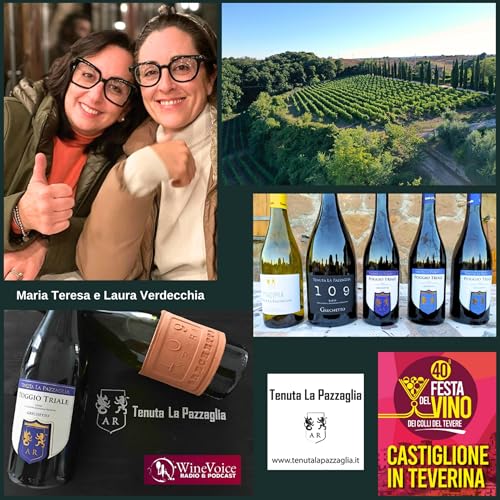 Le Terre del Vino: 40° Festa del Vino Colli del Tevere - Tenuta LA PAZZAGLIA (Lazio)