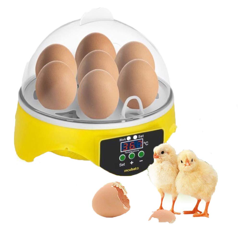 Buy Mini Digital Incubator Fully Automatic 7 Egg Incubator
