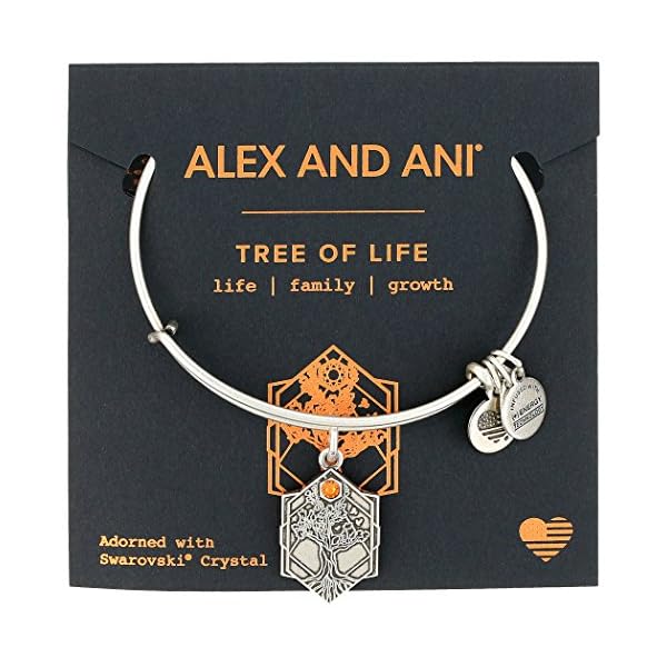Alex and Ani Path of Symbols Expandable Bangle for Women, Tree of Life Charm, Rafaelian Silver Finish, 2 to 3.5 in