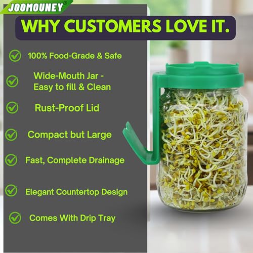 Image of JOOMOUNEY Sprouts Making Glass Jar PACK OF TWO | With Seeds, Sprouter with Mesh Lid | Durable Reusable Sprout Maker Jar for Beans Grains & Seeds | Easy Drainage Hygienic BPA-Free (GREEN)