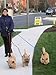 Triple Dog Leash Handle, 3 Way Dog Coupler Multi-Leash UTurn Handle with which you can walk 3 dogs on 3 leashes and untangle in seconds. Black.