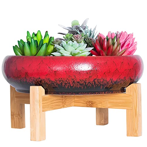 ARTKETTY Succulent Pots - 10 Inch Ceramic Bonsai Pots with Drainage Stand, Large Shallow Planters for Indoor Plants Decorative Garden Cactus Flower Plant Container Bowl