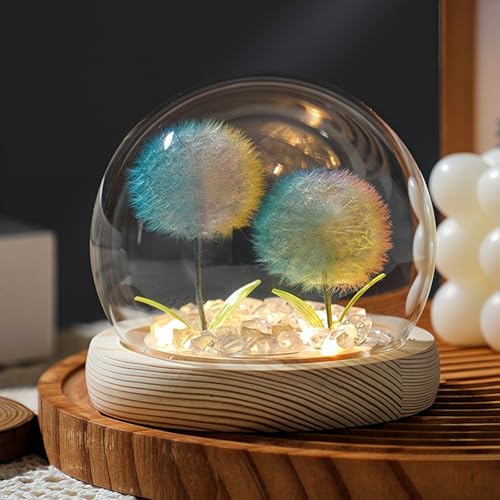 Danolt Flower in Glass Dome, Eternal Flower for Mother, Wife, Girlfriend's Gifts