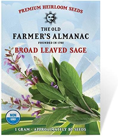 The Old Farmer's Almanac Heirloom Sage Seeds (Broad Leaved Sage) - Approx 70 Seeds - Non-GMO, Open Pollinated