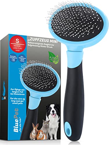 BluePet® Spazzola per gatti e cani di piccola taglia, spazzola per conigli - Rimuove delicatamente il sottopelo, i grovigli e il feltro - Pettine Mini per la toelettatura quotidiana.