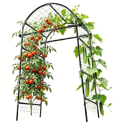 Garden Arch Trellis for Climbing Plants Outdoor - (Black, 81x36x32in) Cucumber Trellis for Raised Bed with Net, Garden Trellis for Climbing Plants, Cucumber, Vegetable, Tomato, Flowers 20mm Thick