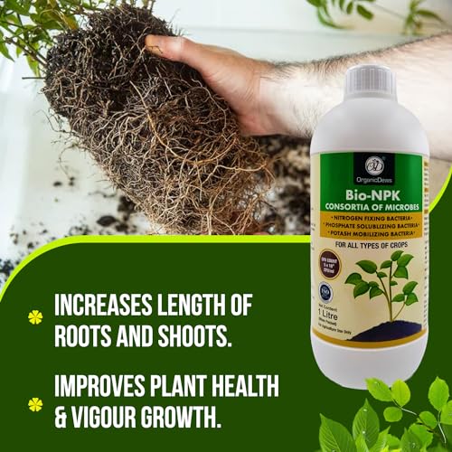 Image of OrganicDews Bio NPK consortia (5x10^8 CFU /ML) Bio Inoculum Fertilizer (6 Litre) for Plants - Soil Fertility, Faster Plant Growth and Increases the Yield 6 Litre