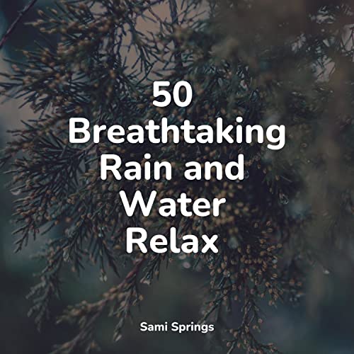 50 Loopable Rain and Nature Sounds by White Noise Babies, Sound