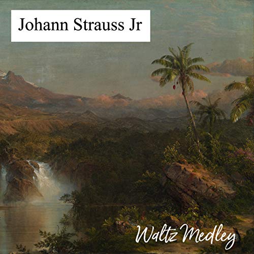Johann Strauss Jr