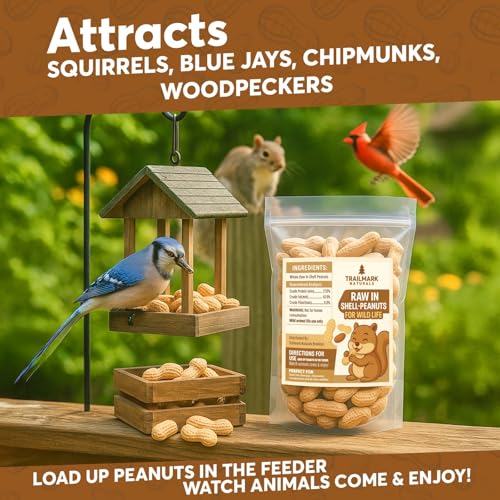 4 LB - Raw Peanuts for Squirrels, Raw in Shell Peanuts for Birds and Wildlife- Squirrel Food, Wild Bird Seed - Grown in The USA