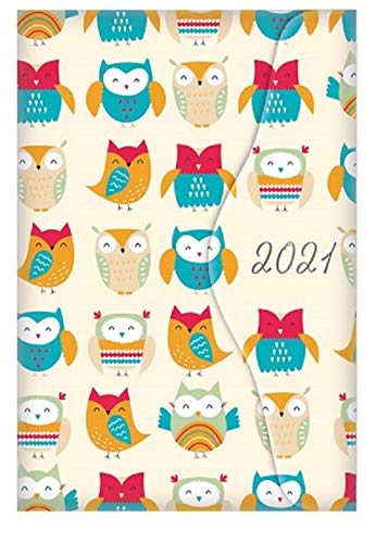 Télécharger Agenda 2021 Agenda A6 jour par page avec rendez-vous et onglets mensuels Motif chouette (couverture Livre eBook France