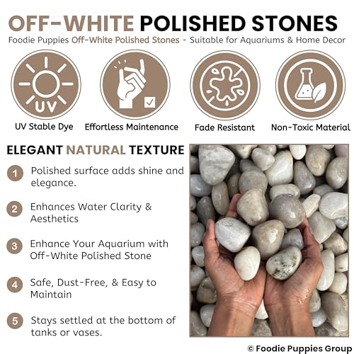 Image of Foodie Puppies 1Kg Off-White Polished Decorative Stones - (2.5cm - 4cm) Dull Finish Pebbles for Aquarium, Fish Bowl, Turtle Tank, Terrarium, Succulents, Garden Pot, Bamboo Plant & Home Decor Stones