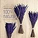Lavanda Experience, Pack de 3 Ramos de Flores Naturales de Lavanda Preservadas...