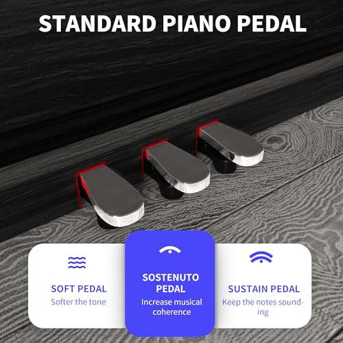 WENCAI 88 Keys Fully Weighted Digital Piano Keyboard, Hammer Action Upright Electric Piano for Beginner Professional with Semi-Automatic Soft-Close Fallboard, 3 Pedals, Black