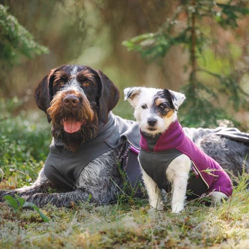 Pomppa Jumppa Fleecejacke für Hunde, 34 cm, Graphit